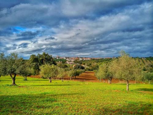 Vista de Seda_n
