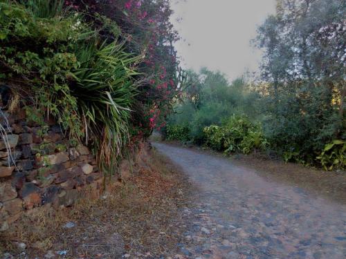 caminho do Ribeirinho_n