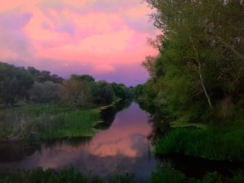 ribeira de Seda_n